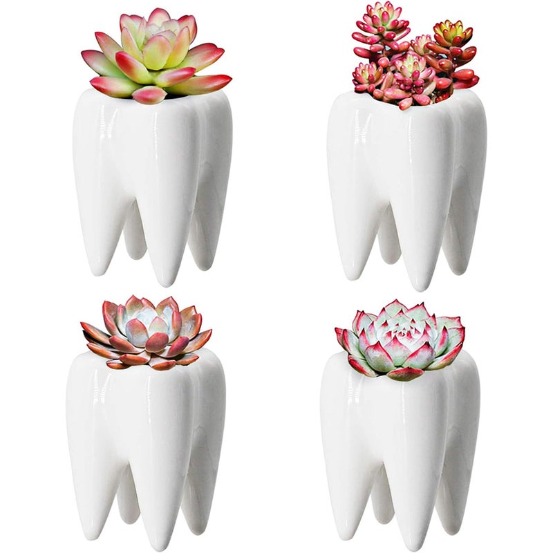 YOFIT Modern Style Teeth Pots Ceramic Flower Pot for Dental Gifts, White Succulent Cactus Bonsai Planter Container for Dental Office Decor, 3.7" Set of 4 - Image 1